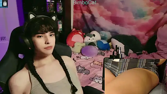BimboCat