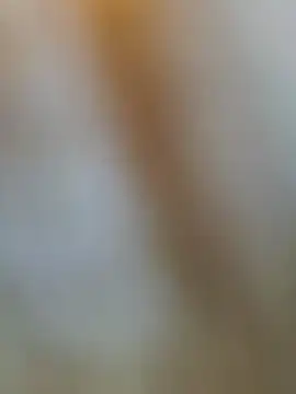 LamyPascal4mature