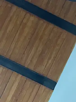LiaCollings