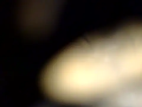 Sexy_vipasha