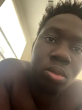 Thekingdickis
