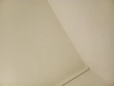 adam_bunny