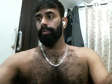 indianhairybull