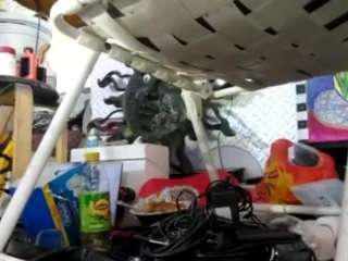 outrageousapprovaldecide257