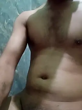 snadycam