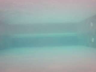 voyeurcam-casa-salsa-pool-1