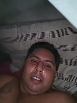 willersaulzambranobohorqu