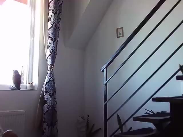 RyanStorm_ — Video preview, recorded on 2025-08-24 10:33 UTC