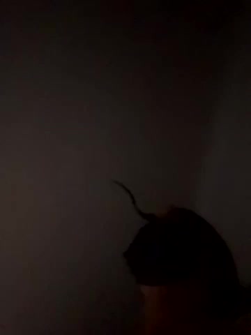 Ahlam7578 live screenshot 2025-08-25 03:23:21