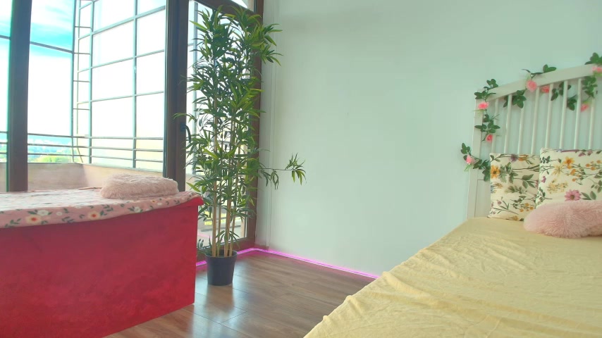 AlicePirs live screenshot 2025-09-15 06:43:46