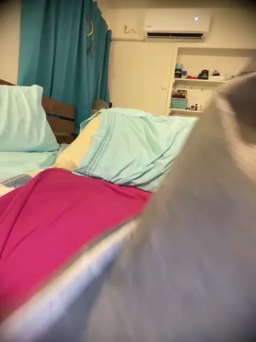 AllieCatWhore live screenshot 2025-10-08 03:47:56