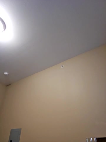 AmethystFoxx live screenshot 2025-09-23 02:08:18