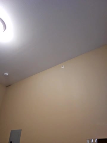 AmethystFoxx live screenshot 2025-09-23 02:09:21