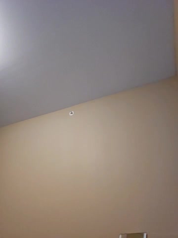 AmethystFoxx live screenshot 2025-11-04 04:26:54