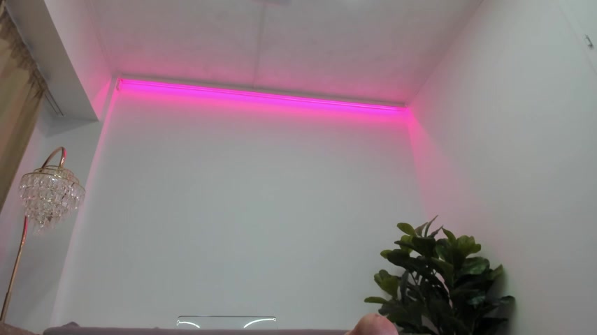 Angel__Vibe live screenshot 2025-09-29 20:38:18