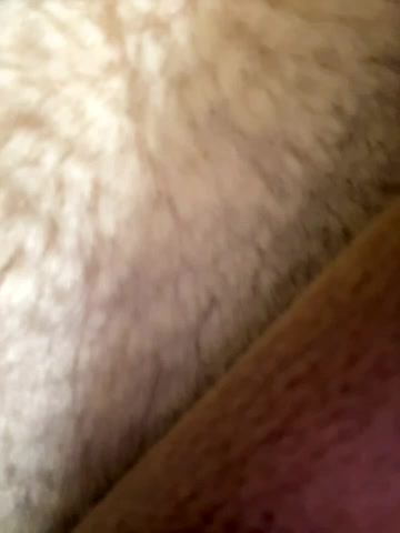 AngelinaTeller live screenshot 2025-11-16 04:54:07