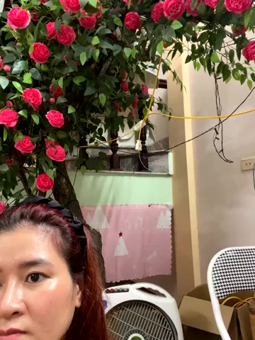 Bollozzy_89 live screenshot 2025-09-30 07:39:34