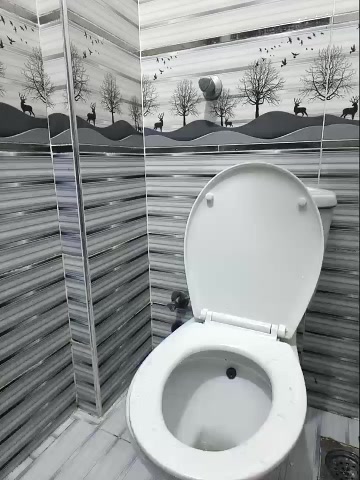 Bosy_Nora_X2 live screenshot 2025-12-25 12:58:04