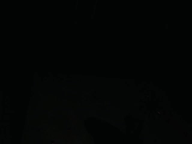 Brenda_bigtitis live screenshot 2025-09-30 08:19:45