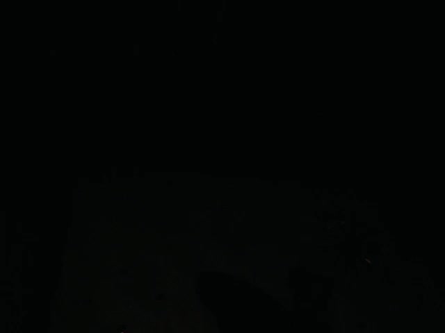 Brenda_bigtitis live screenshot 2025-09-30 08:20:24