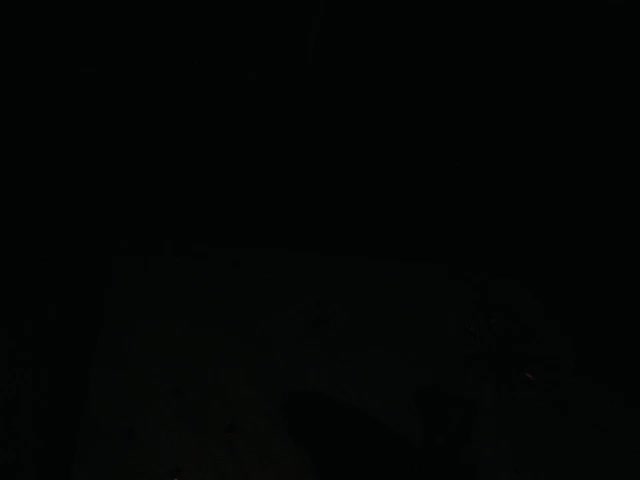 Brenda_bigtitis live screenshot 2025-09-30 08:21:14