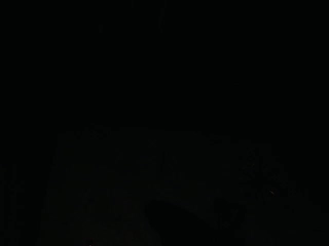 Brenda_bigtitis live screenshot 2025-09-30 08:22:14