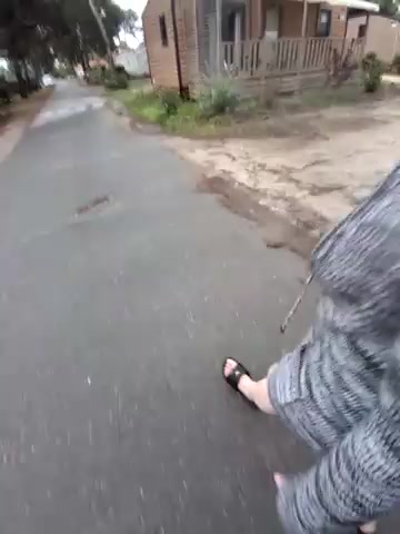 Carpedi3m live screenshot 2025-09-23 15:47:00