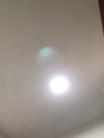 Catmila94 live screenshot 2025-10-21 06:42:24