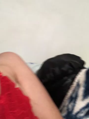 Catmila94 live screenshot 2025-10-21 06:46:25