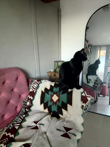 DakotaShelby latest screenshot