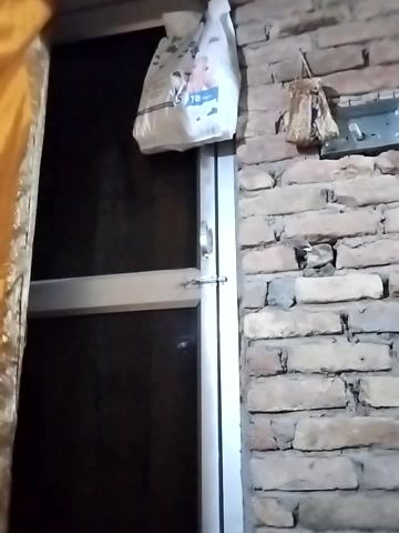 Darling8008 live screenshot 2025-09-21 17:53:40