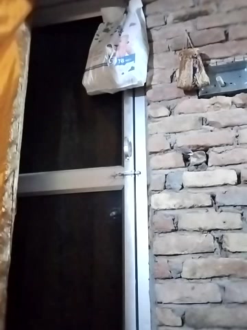 Darling8008 live screenshot 2025-09-21 17:54:41