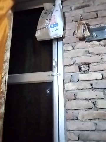 Darling8008 live screenshot 2025-09-21 17:55:41