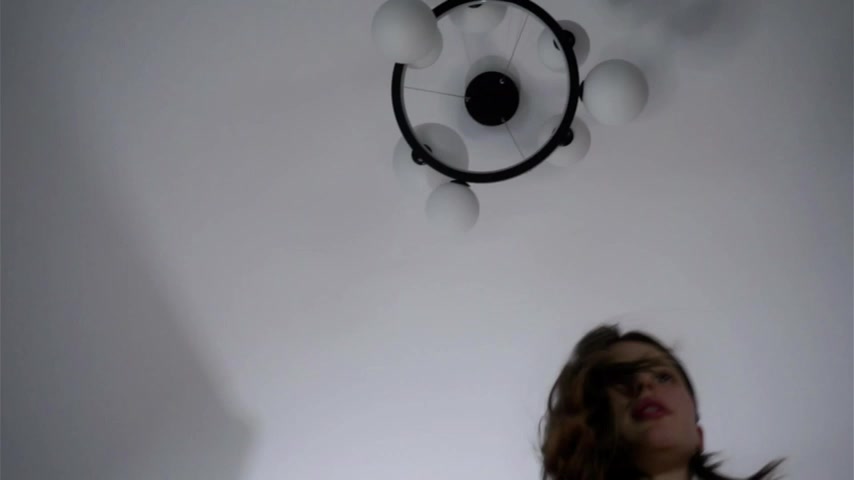 DarylBarks live screenshot 2025-10-21 06:39:05