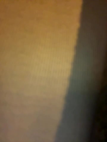 FroggyAnna live screenshot 2025-10-01 20:23:48
