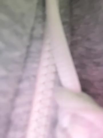 Lami_Mi live screenshot 2025-10-06 06:47:12