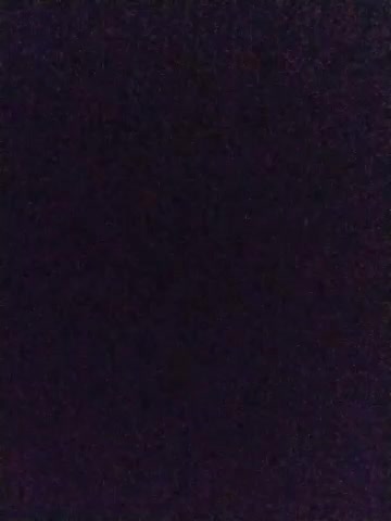 LeoMaduroSP live screenshot 2025-09-30 12:08:32