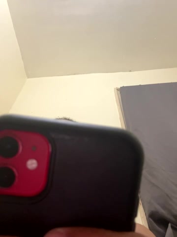 LeoPR00 live screenshot 2025-09-23 02:10:11