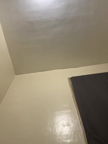 LeoPR00 live screenshot 2025-09-23 02:14:45