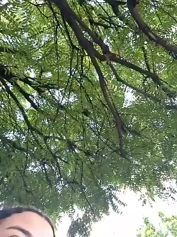 Liancy live screenshot 2025-09-30 22:04:01