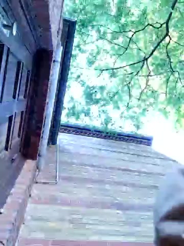 LydiaMaus96 live screenshot 2025-09-23 15:59:57