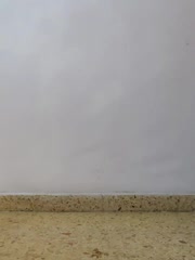 Melody87 live screenshot 2025-09-21 18:05:37