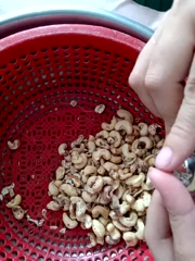 Milk_tea2k latest screenshot