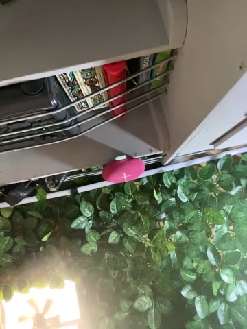 OdetteDelane live screenshot 2025-10-21 06:41:11