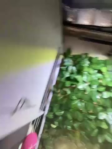 OdetteDelane live screenshot 2025-10-21 06:42:23