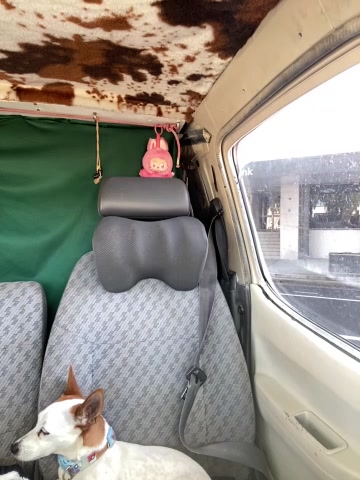 OdetteDelane live screenshot 2025-10-21 06:47:23