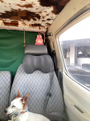 OdetteDelane live screenshot 2025-10-21 06:48:23