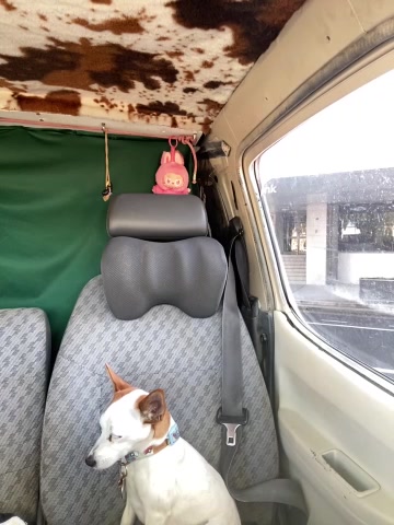 OdetteDelane live screenshot 2025-10-21 06:49:23