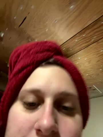 OwlishCoaster live screenshot 2025-09-23 02:18:17