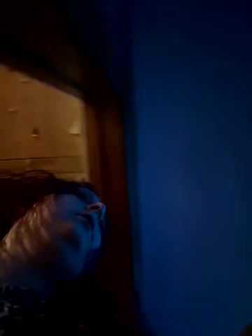 OwlishCoaster live screenshot 2025-09-23 02:19:48